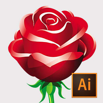 Adobe Illustrator ile Gelişmiş Vektorel Çizimler Video Eğitimi